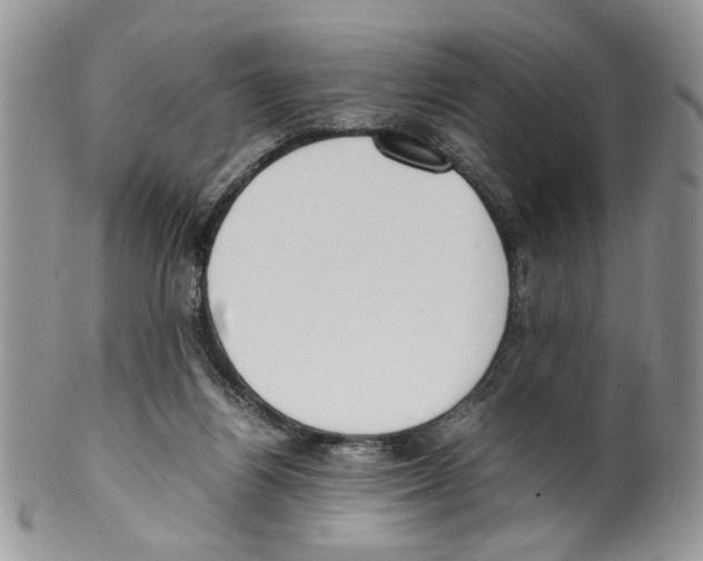 X0000099550164200806131220