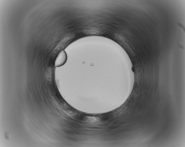 X0000099550167200806131220