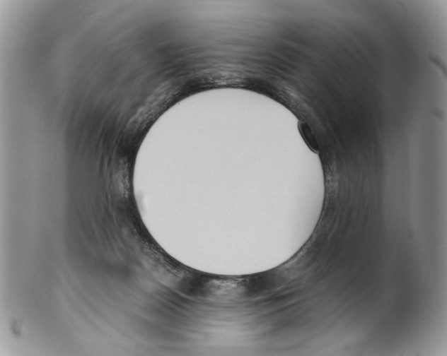 X0000099550170200806131220