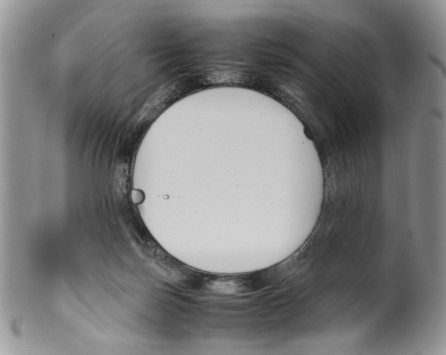 X0000099550171200806131220