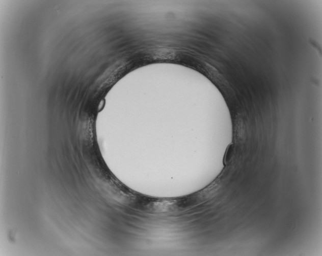 X0000099550172200806131220