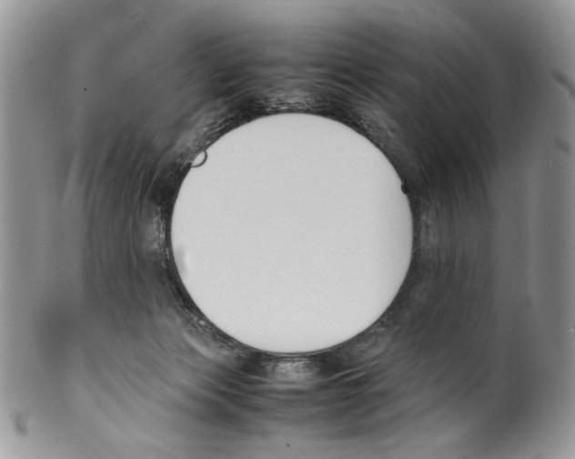 X0000099550173200806131220