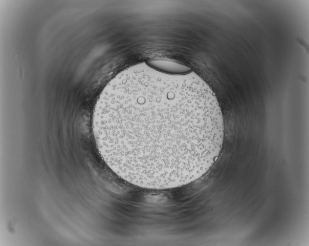 X0000099550175200806131220