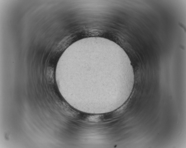 X0000099550178200806131220