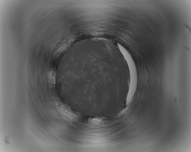 X0000099550180200806131220