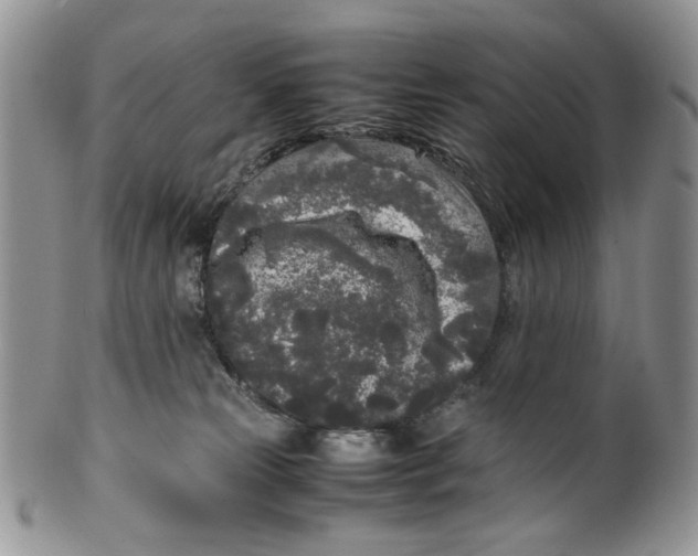 X0000099550181200806131220