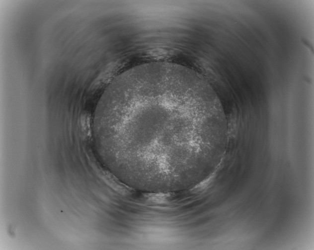 X0000099550182200806131220