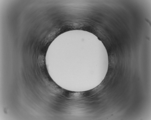 X0000099550184200806131220