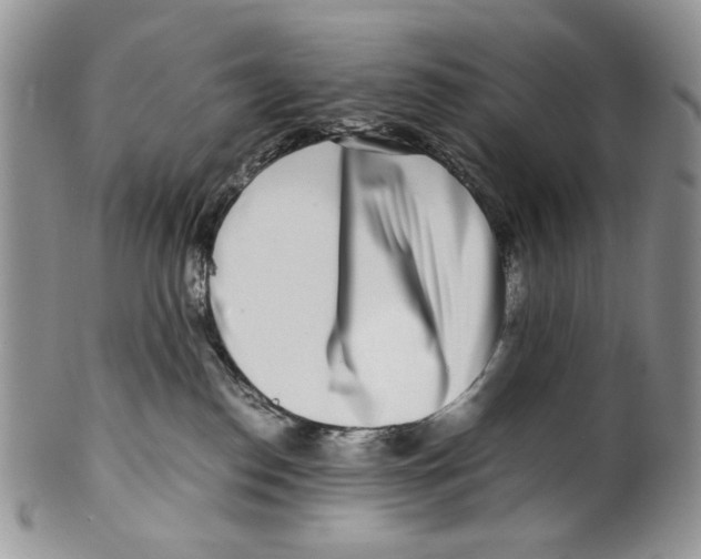 X0000099550186200806131220