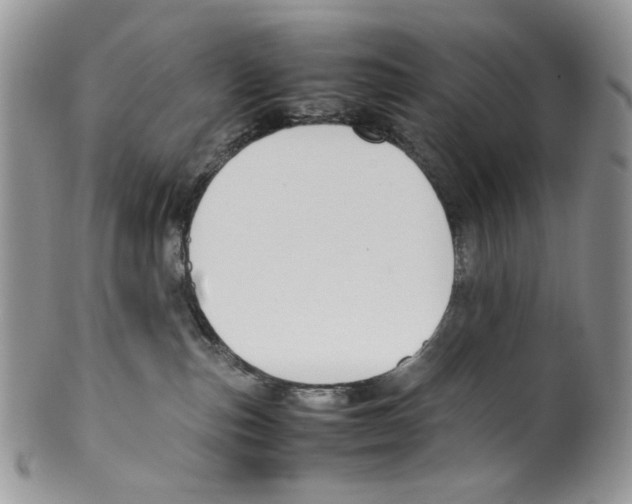 X0000099550187200806131220