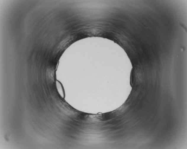 X0000099550188200806131220