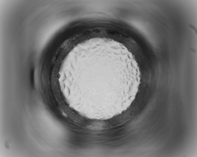 X0000099550189200806131220