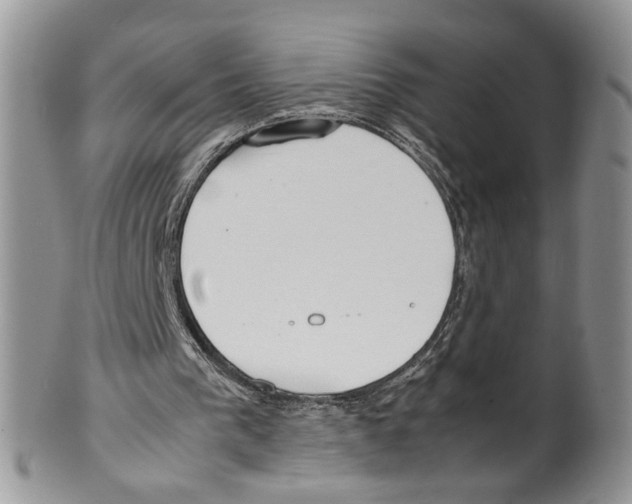 X0000099550193200806131219