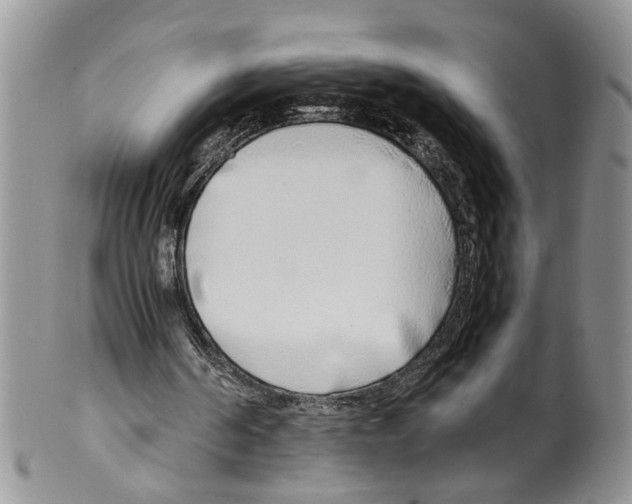 X0000099550194200806131219