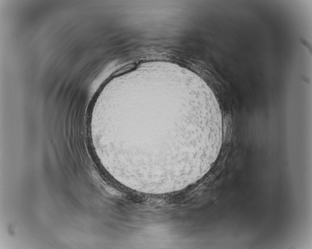 X0000099550195200806131219