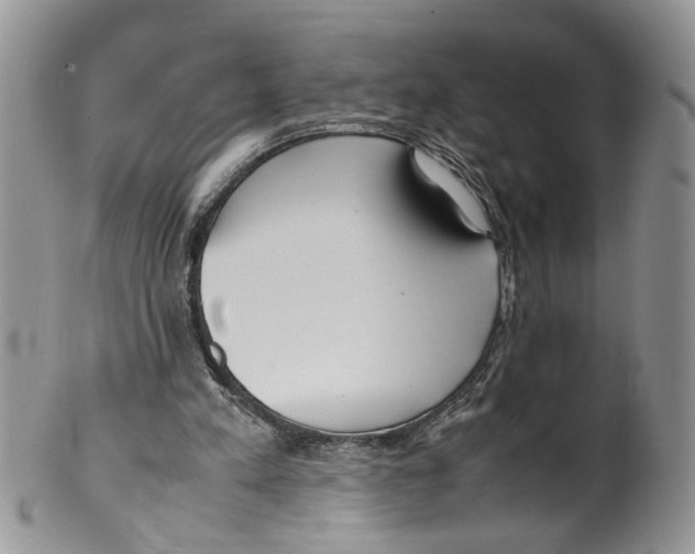 X0000099550197200806131219