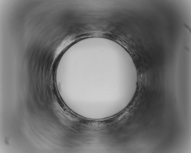 X0000099550198200806131219