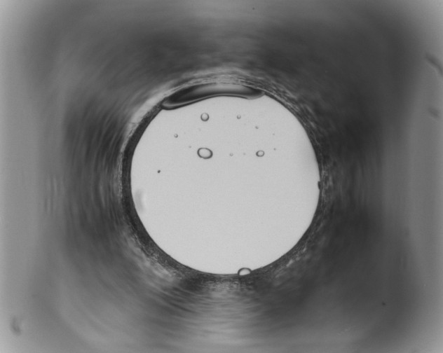 X0000099550200200806131219