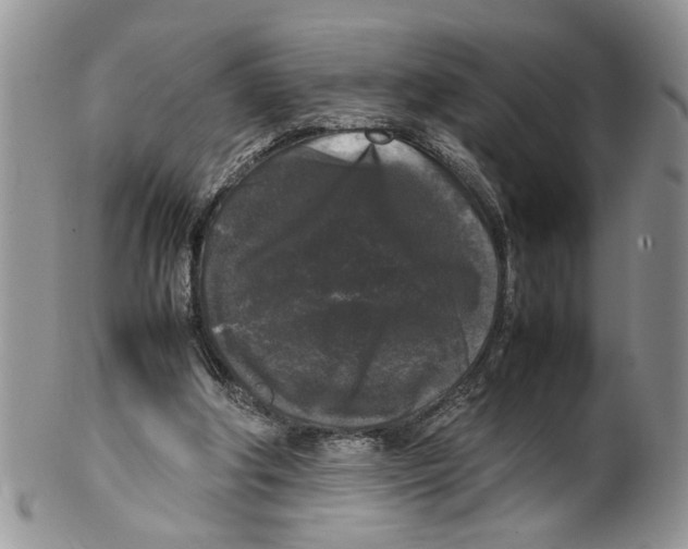 X0000099550202200806131219