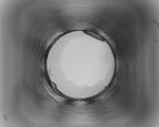 X0000099550203200806131219