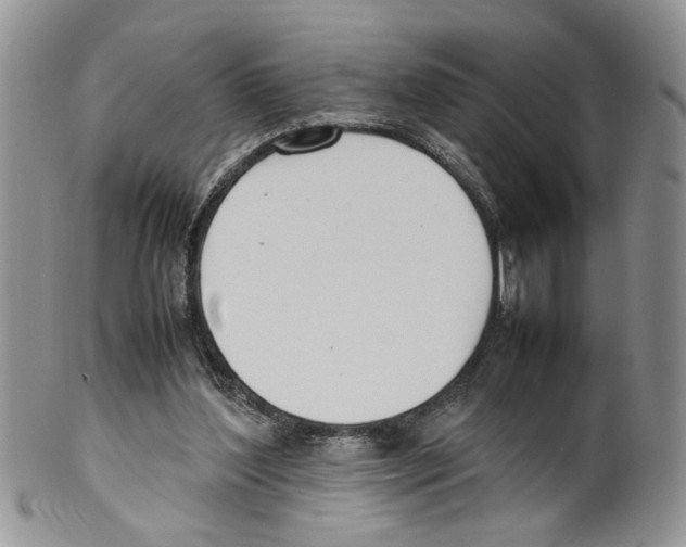 X0000099550204200806131219