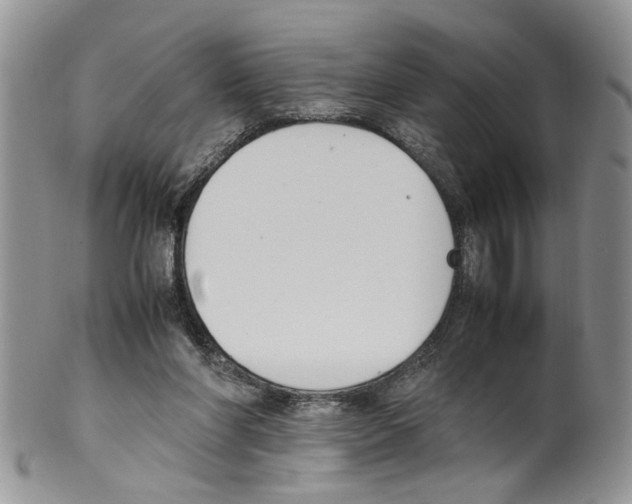 X0000099550206200806131219