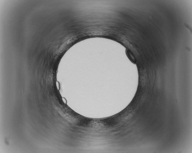 X0000099550207200806131219