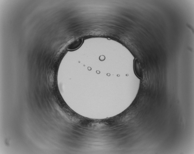 X0000099550208200806131219