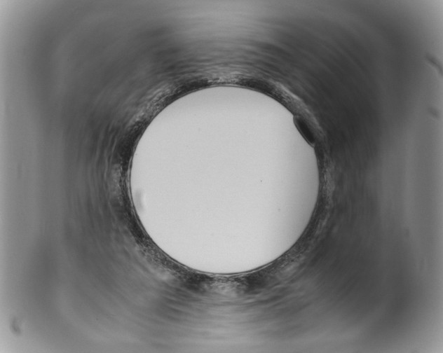 X0000099550209200806131219