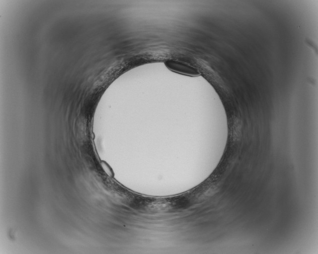 X0000099550213200806131219