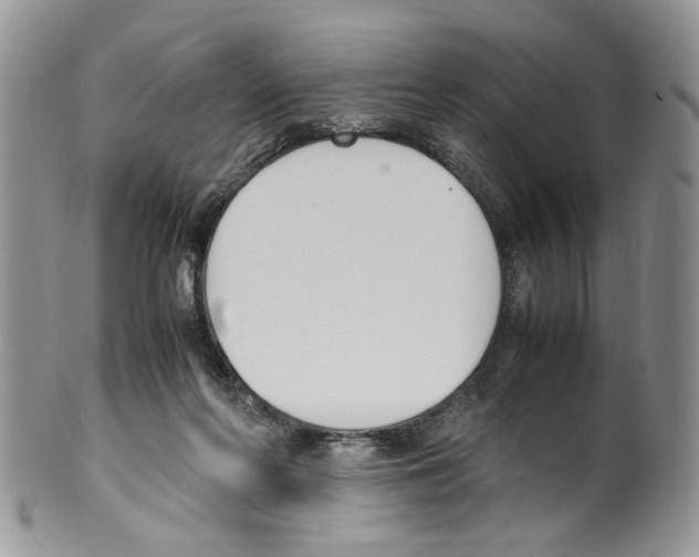 X0000099550214200806131219