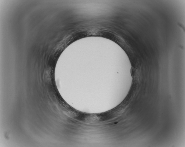 X0000099550217200806131219