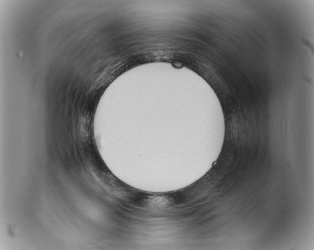 X0000099550218200806131219