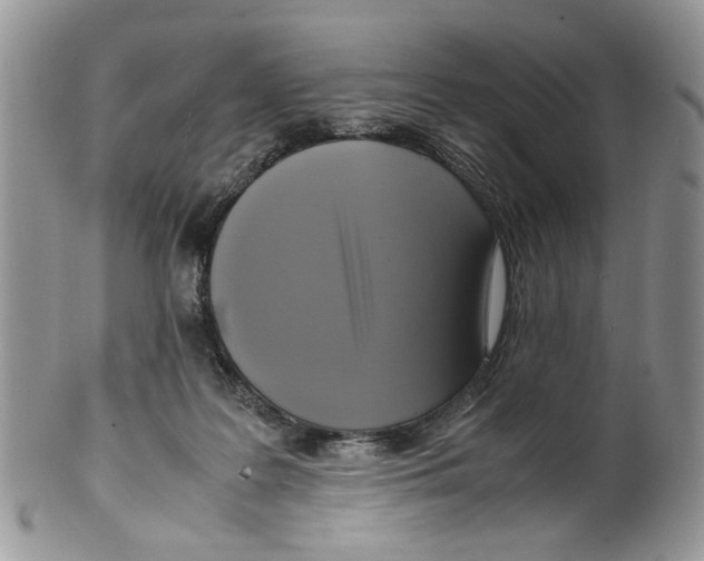 X0000099550219200806131219