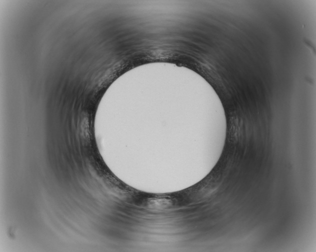 X0000099550220200806131219