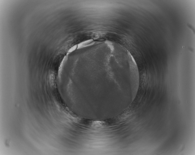 X0000099550222200806131219