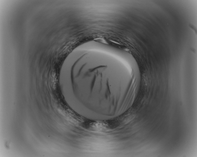 X0000099550223200806131219