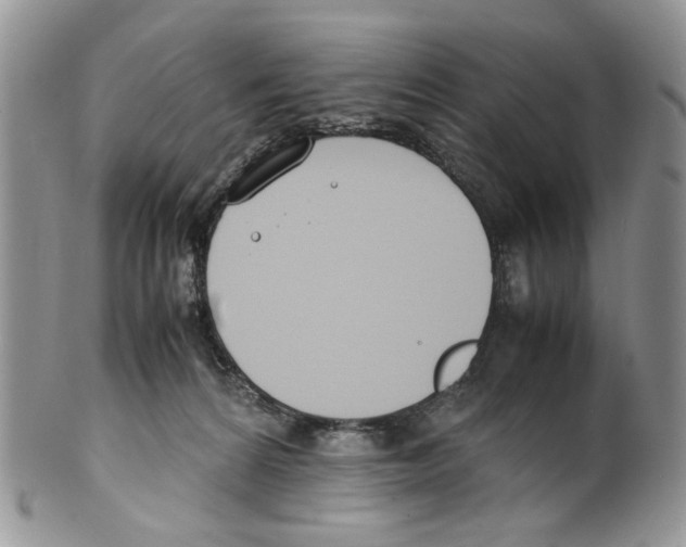 X0000099550224200806131219