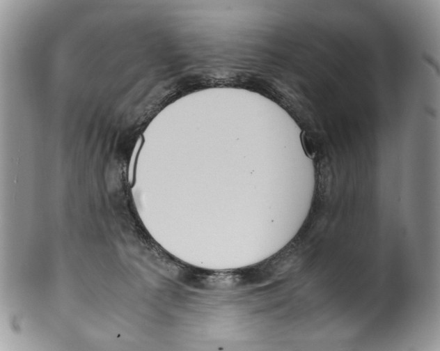 X0000099550225200806131219