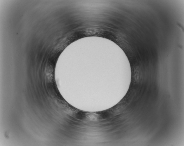 X0000099550226200806131219