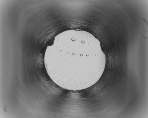 X0000099550228200806131219