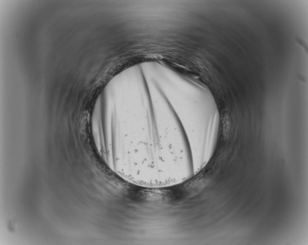 X0000099550229200806131219