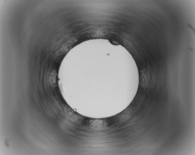 X0000099550230200806131219