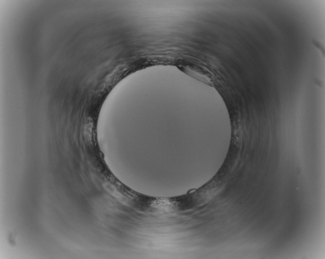 X0000099550231200806131219