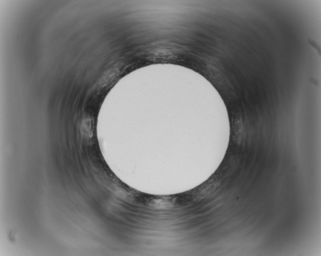 X0000099550232200806131219