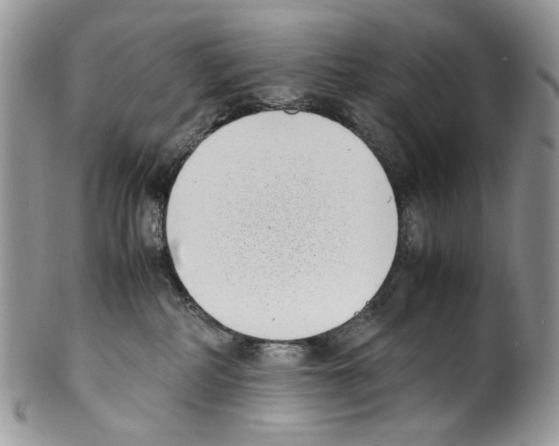 X0000099550234200806131219