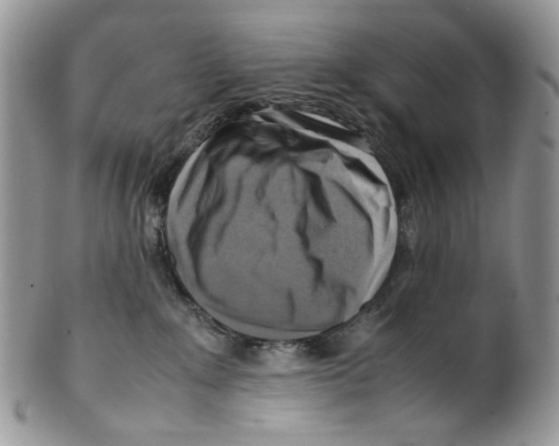 X0000099550235200806131219