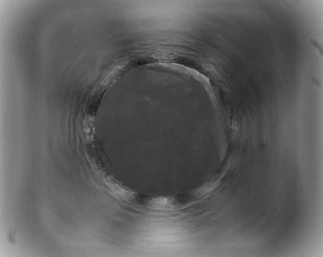 X0000099550237200806131219