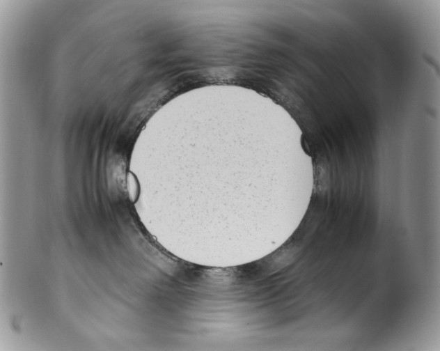 X0000099550238200806131219