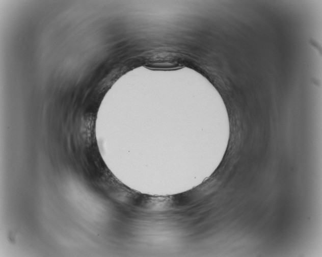 X0000099550240200806131219